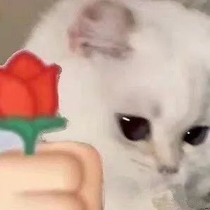 DƬ